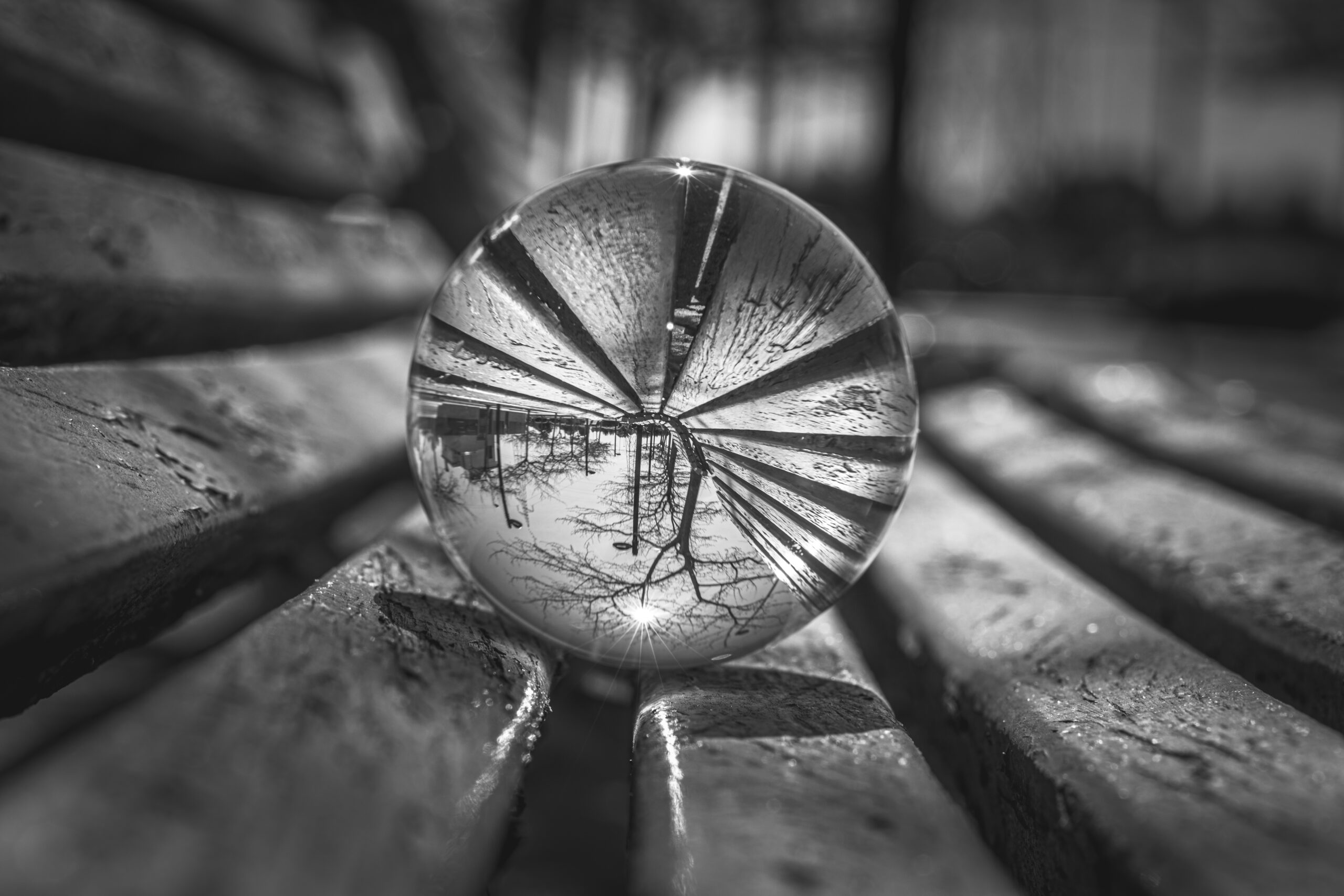 1A3A3773-Editar-Editar