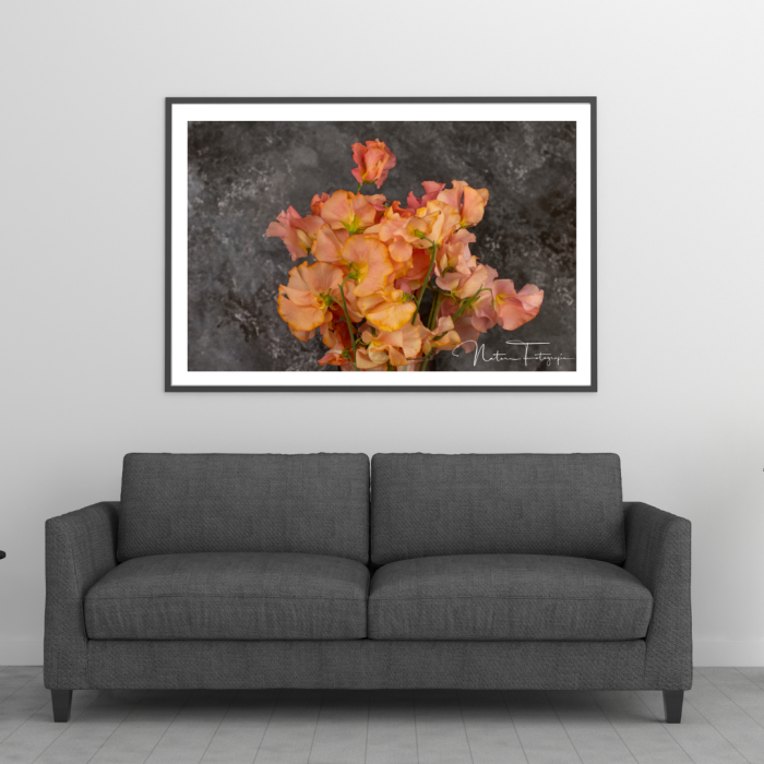 Flores - 7812