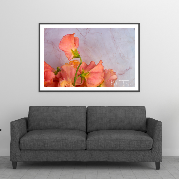 Flores - 7830