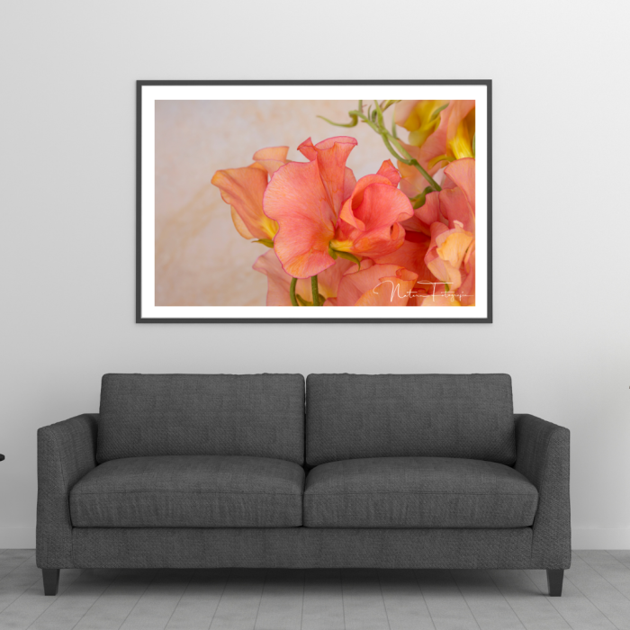 Flores - 7833