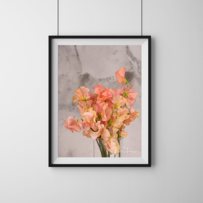 Flores - 7839