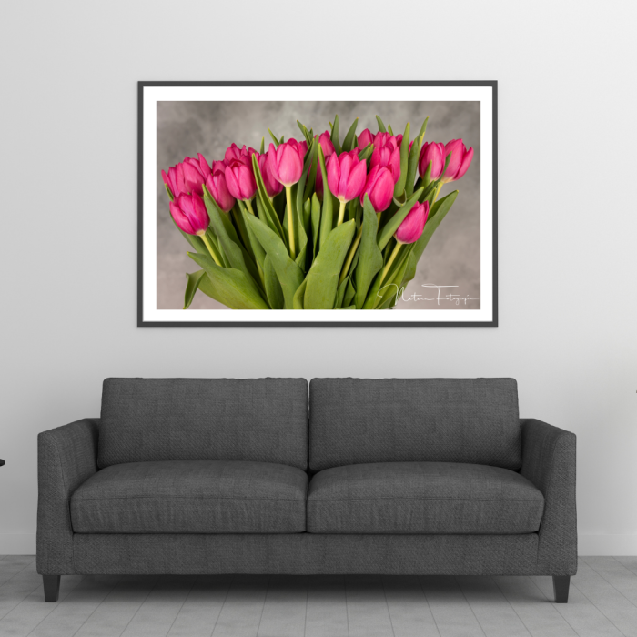 Tulipanes Rosados - 7888