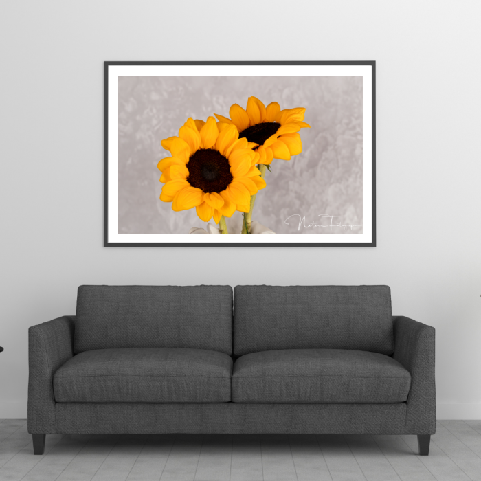 Girasol - 7942