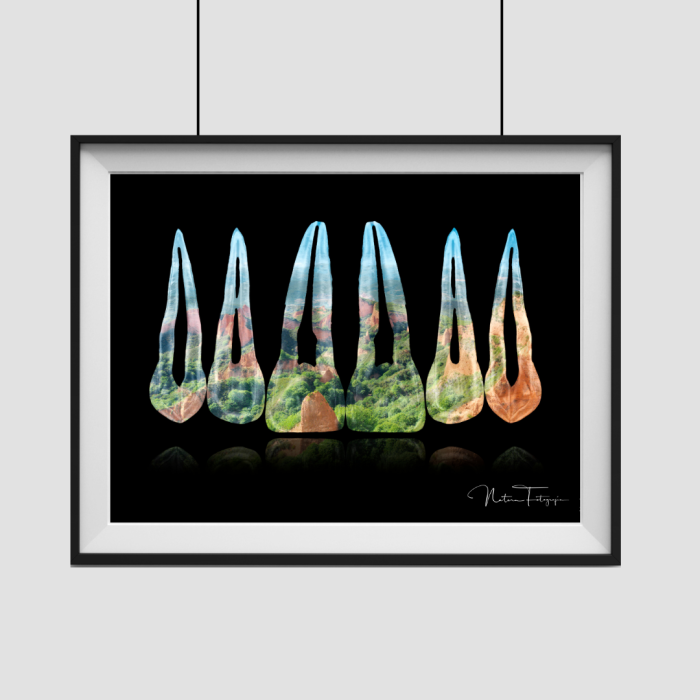 Composición de dientes. Las Medulas, León - Imagen 2
