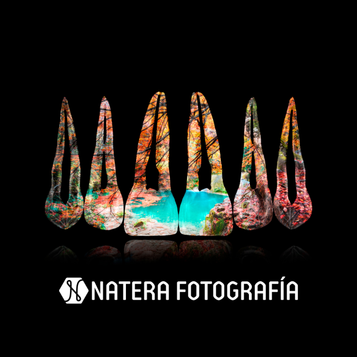 Composición de dientes. Necedero del río Uderra, Navarra
