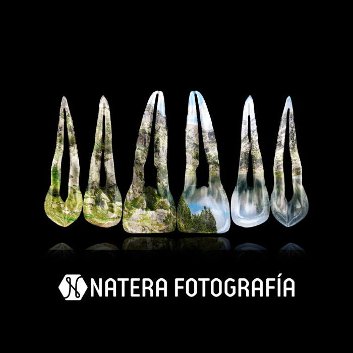 Composición de dientes. Parque nacional Aigüestortes, Lleida