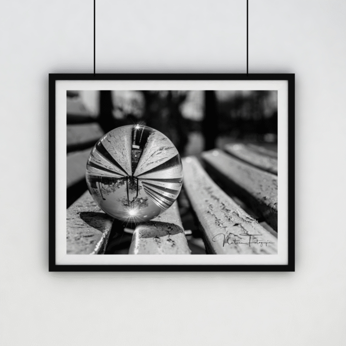 Lente Bola - 3780