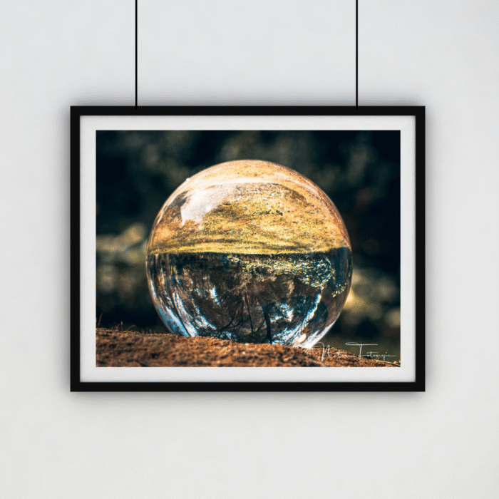 Lente Bola - 4043