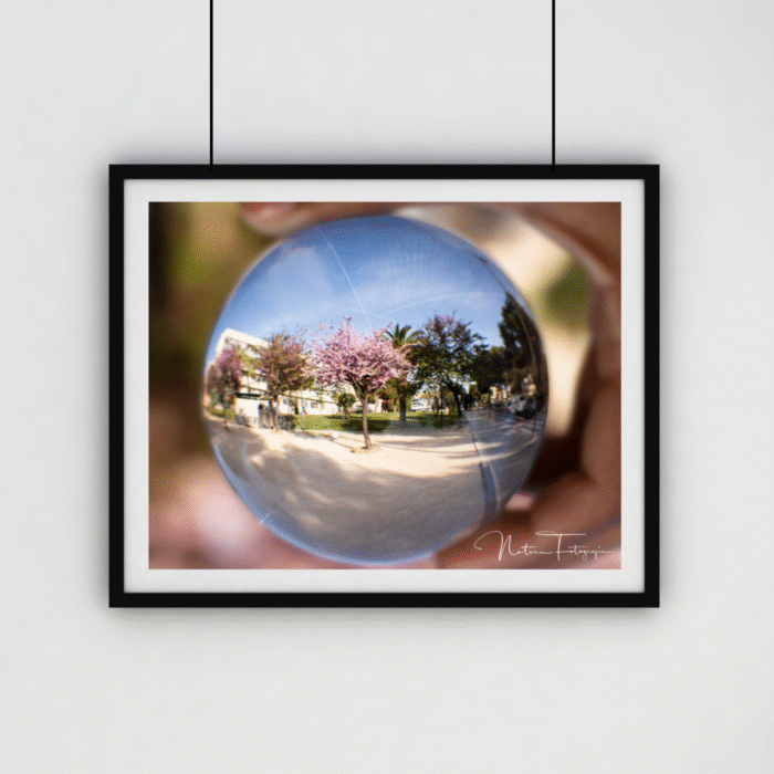 Lente Bola - 5163